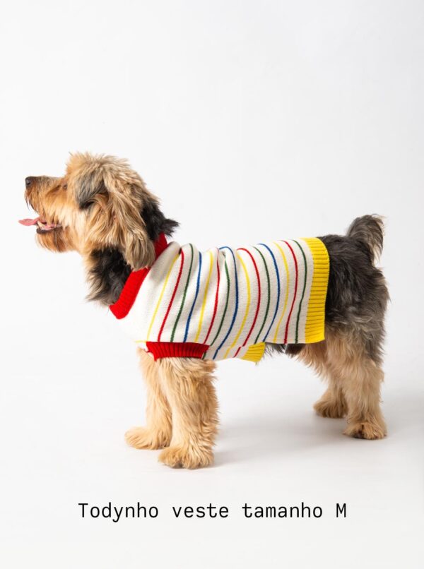 roupa trico tricot para cachorros e gatos moda pet inverno colorido