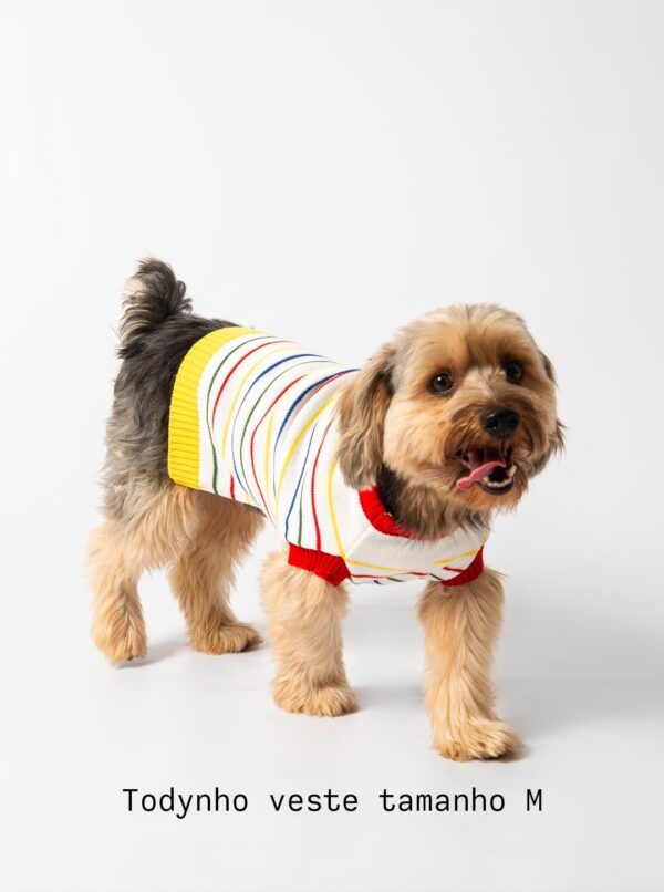 roupa trico tricot para cachorros e gatos moda pet inverno colorido