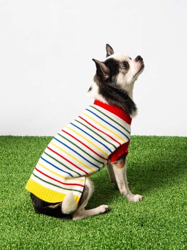 roupa trico tricot para cachorros e gatos moda pet inverno colorido