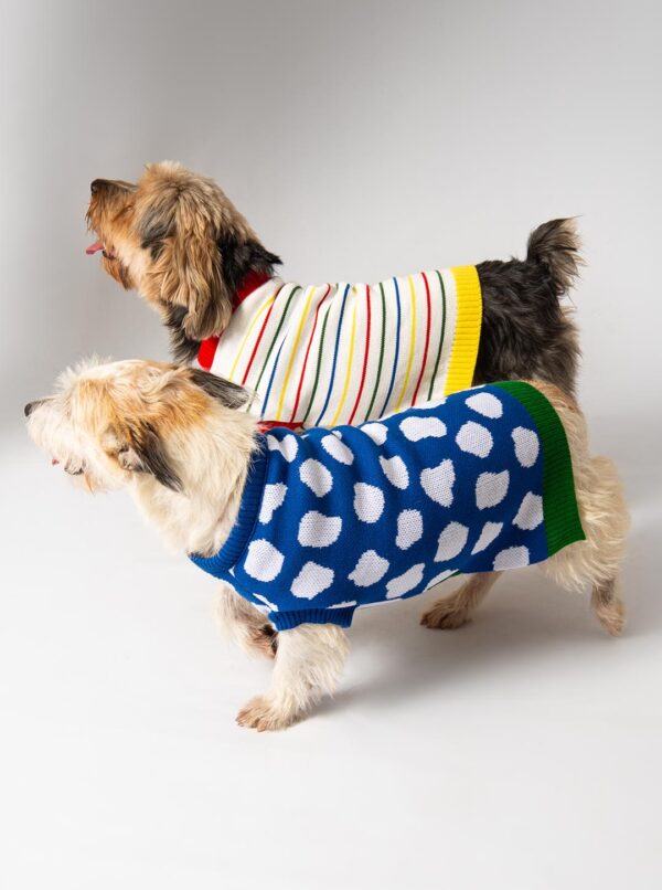 roupa trico tricot para cachorros e gatos moda pet inverno colorido