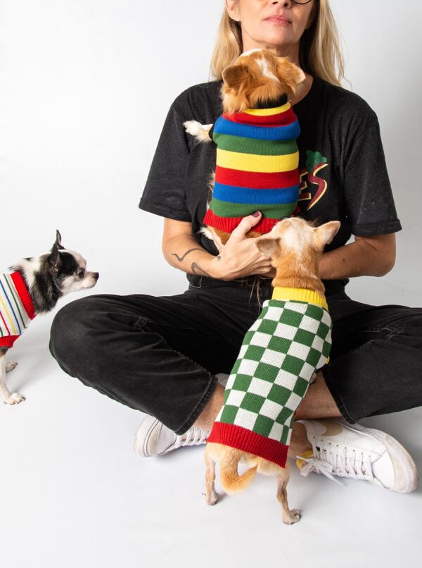 roupa trico tricot para cachorros e gatos moda pet inverno colorido