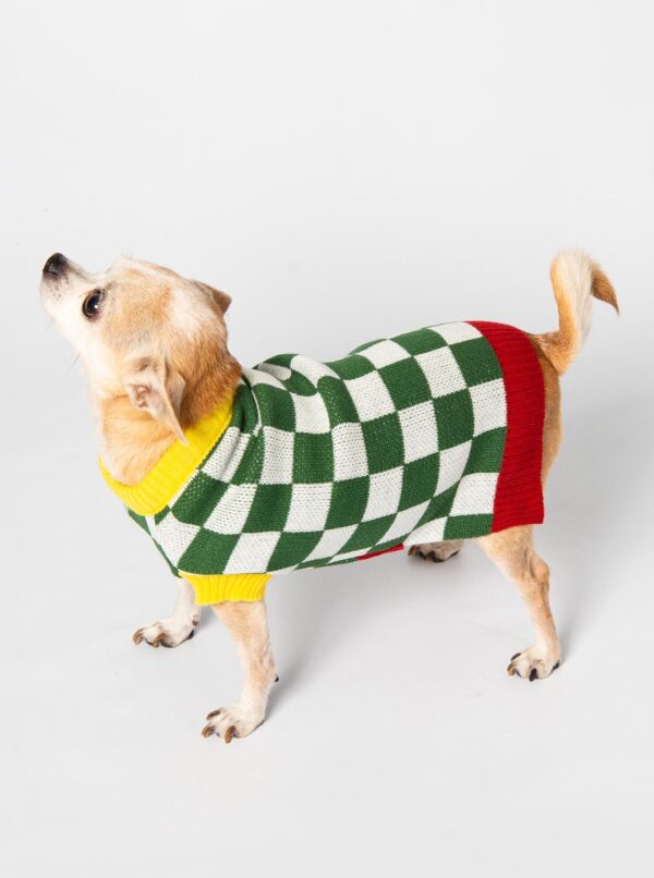 roupa trico tricot para cachorros e gatos moda pet inverno colorido