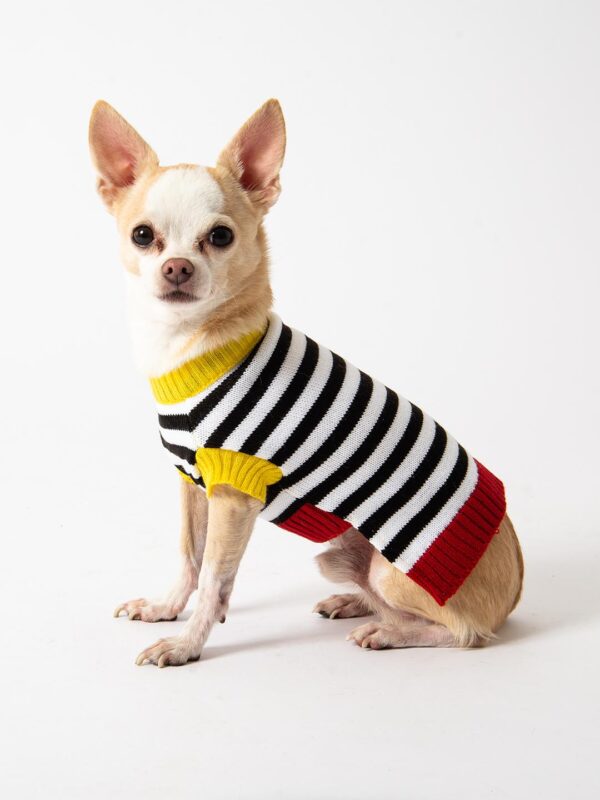 roupa trico tricot para cachorros e gatos moda pet inverno colorido