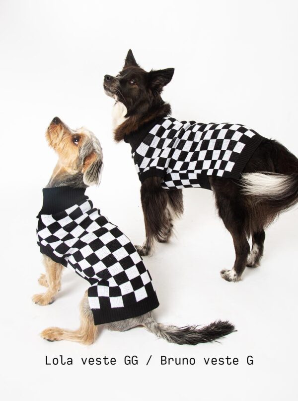 roupa de trico pet gola alta quadriculado inverno moda cachorro gato