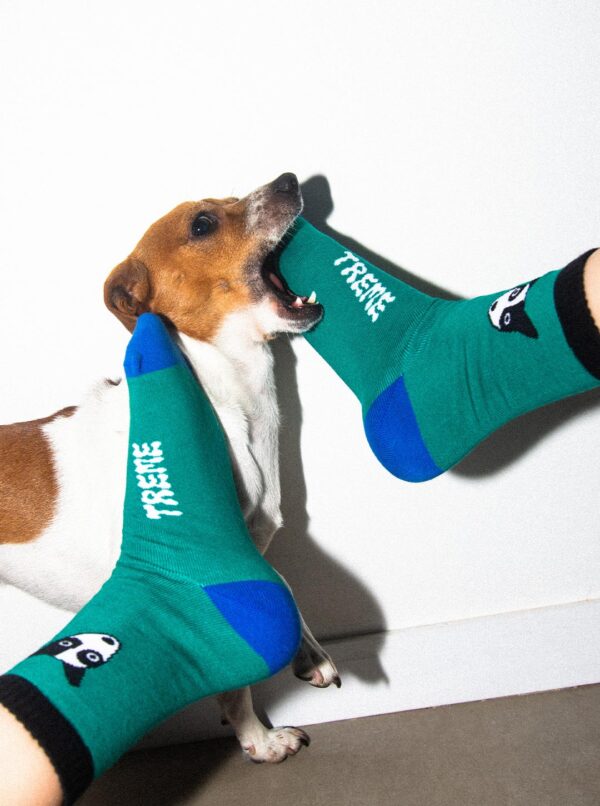 TREMeia Cachorrinho - Imagem 3