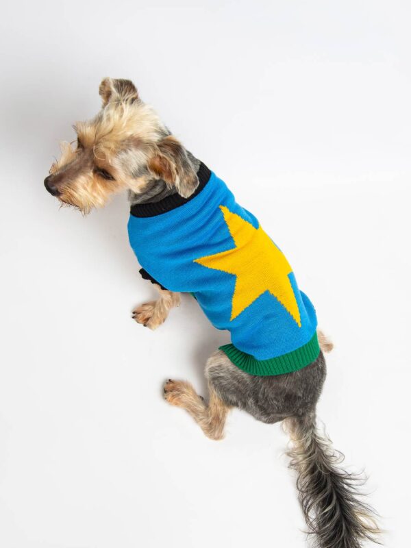 Tricô Pet Estrela Hexa